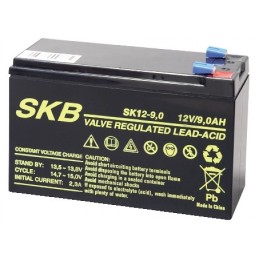 Batteria al piombo 12V 9AH SKB ricaricabile