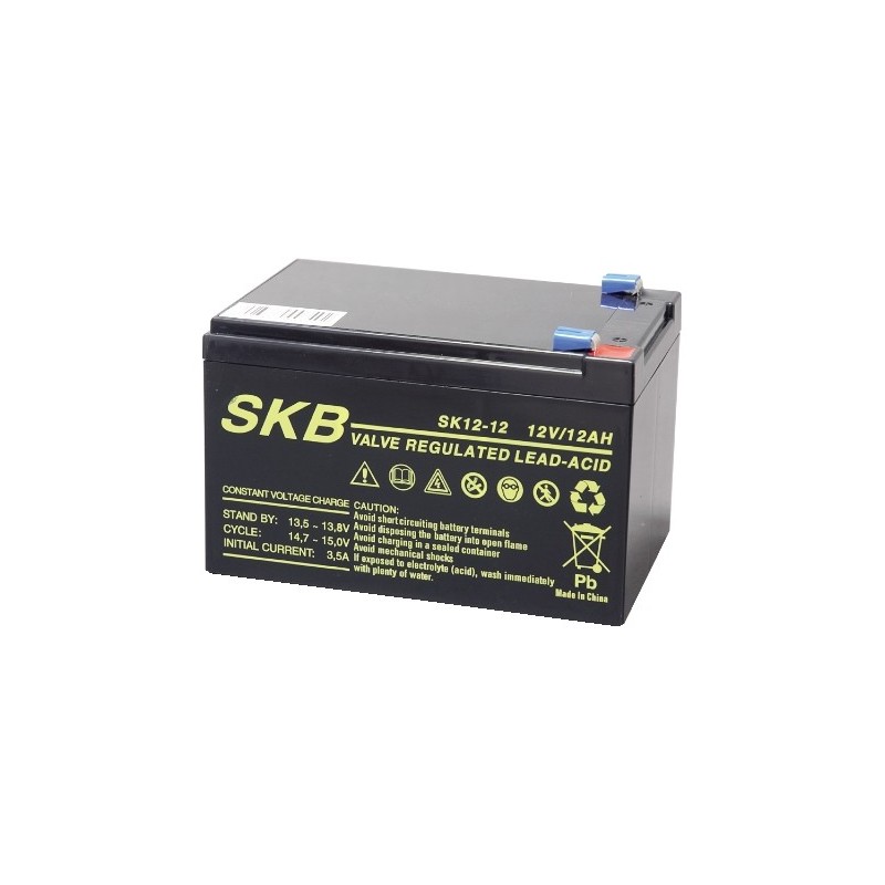 Batteria al piombo 12V 12AH SKB ricaricabile