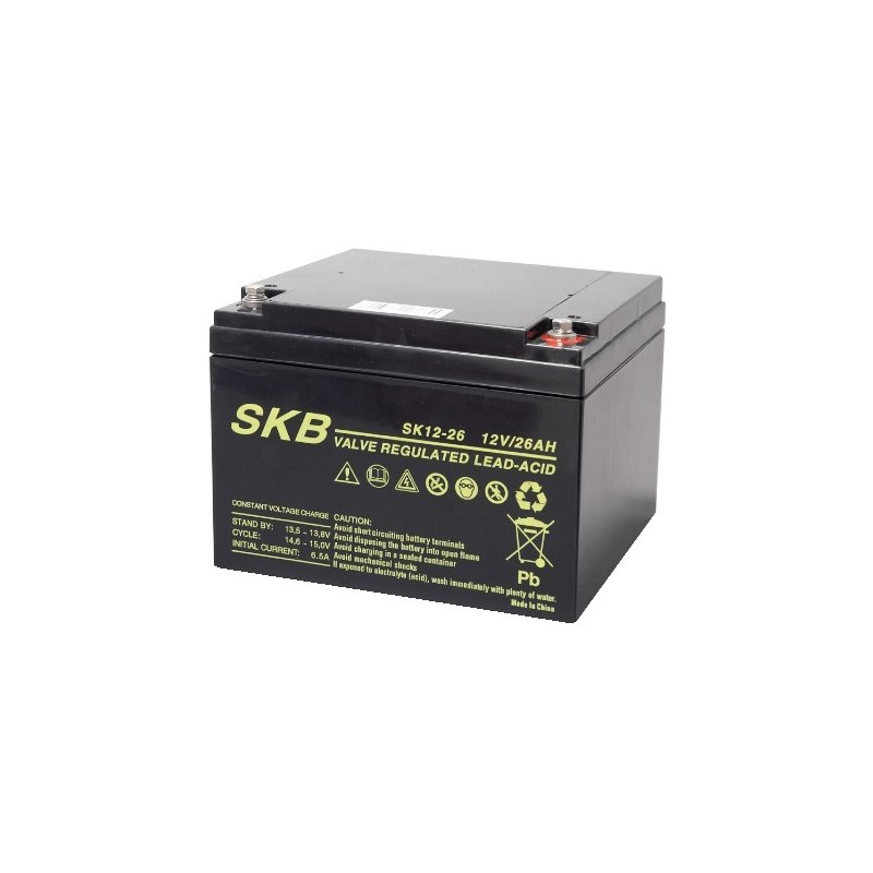 Batteria al piombo 12V 26AH SKB ricaricabile