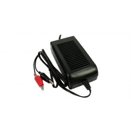 Caricabatterie per batterie al piombo 12V 3A Switching