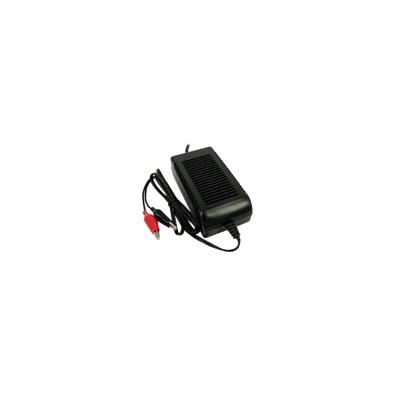 Caricabatterie per batterie al piombo 12V 3A Switching