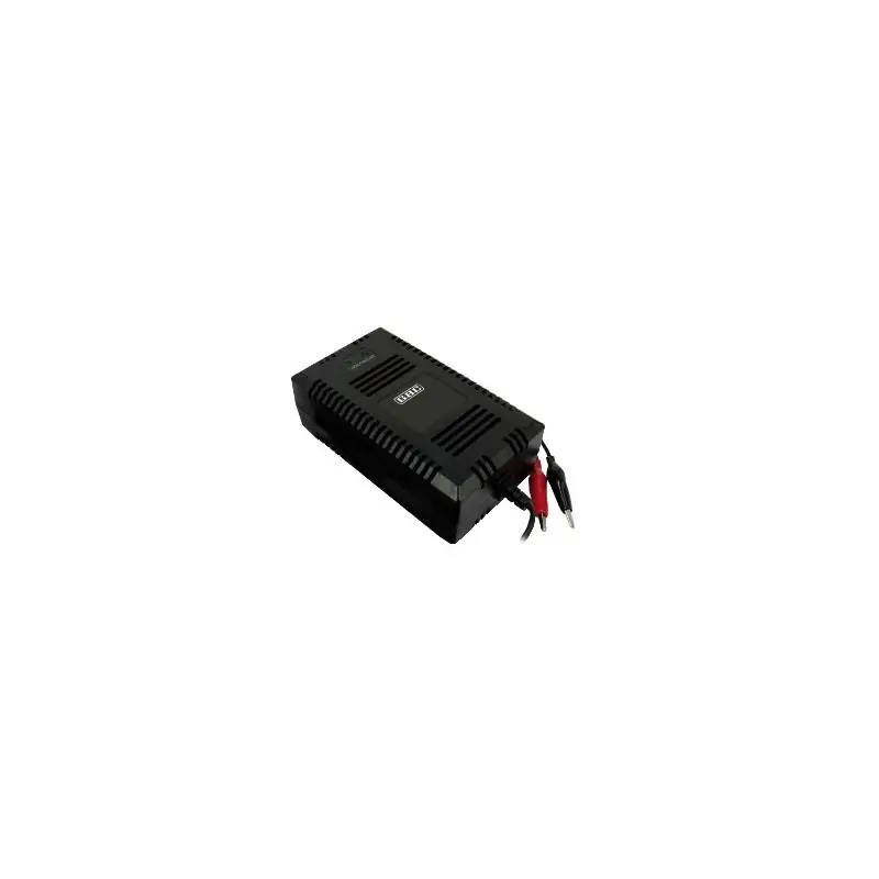 Caricabatterie per batterie al piombo 24V 3A Switching Caricabatterie per batterie al piombo 24V 3A Switching
