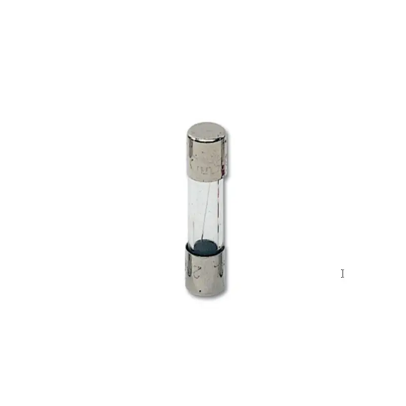 Fusibile in vetro rapido F misura 5x20 mm 6,3 A Fusibile in vetro rapido F misura 5x20 mm 6,3 A