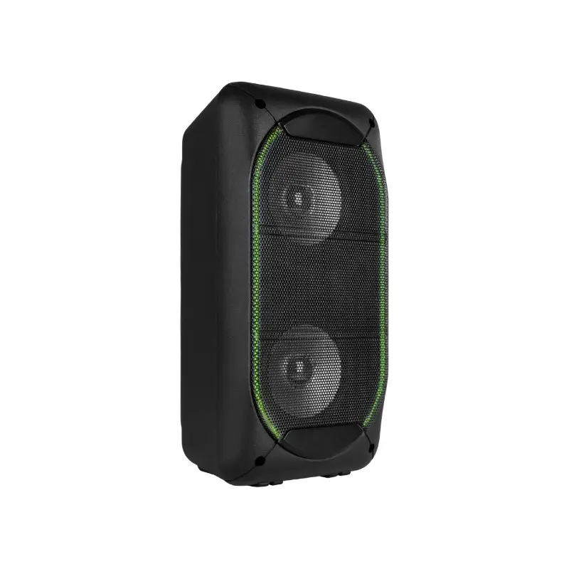 Cassa Party Speaker 50W con 2 Altoparlanti da 4" SBS60 FENTON Cassa Party Speaker 50W con 2 Altoparlanti da 4" SBS60 FENTON