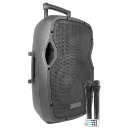 Speaker Professionale attivo 12" 600W a Batteria con Bluetooth/USB/SD/MP3