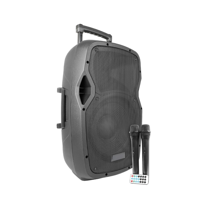 Speaker Professionale attivo 12" 600W a Batteria con Bluetooth/USB/SD/MP3