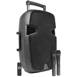 Box Audio attivo 15" 700W a Batteria con Bluetooth USB SD MP3 ECHO Equalizzatore e Trolley