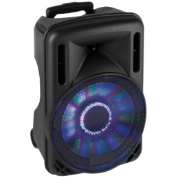 (1) Box Audio attivo 12" 700W a Batteria con Bluetooth USB SD MP3 ECHO DISCO LED Equalizzatore e Trolley