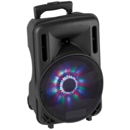 (1) Box Audio attivo 10" 450W a Batteria con Bluetooth USB SD MP3 ECHO DISCO LED  e Trolley