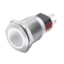 Interruttore antivandalo 1NA+1NC 16MM luminoso Bianco 24V IP65