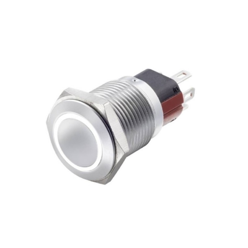 Interruttore antivandalo 1NA+1NC 16MM luminoso Bianco 24V IP65